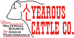 Yearous Cattle Company